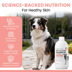 Tapon y bomba de Chew + Heal Labs facilita la dosificación