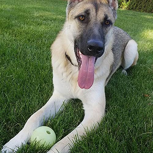 Balón Chew King, fácil de limpiar y apto para lavavajillas