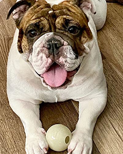 Chew King balón de 3 pulgadas ligero para perro activo