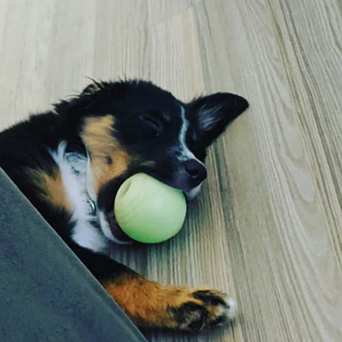 Chew King, juego diario para perros activos y curiosos