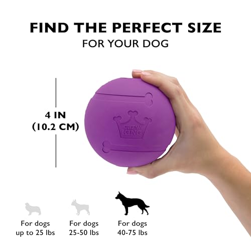 Chew King bola rebote fuerte para perro activo.