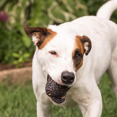 Chew King Supreme ideal para perros que muerden fuerte, con resistencia duradera.