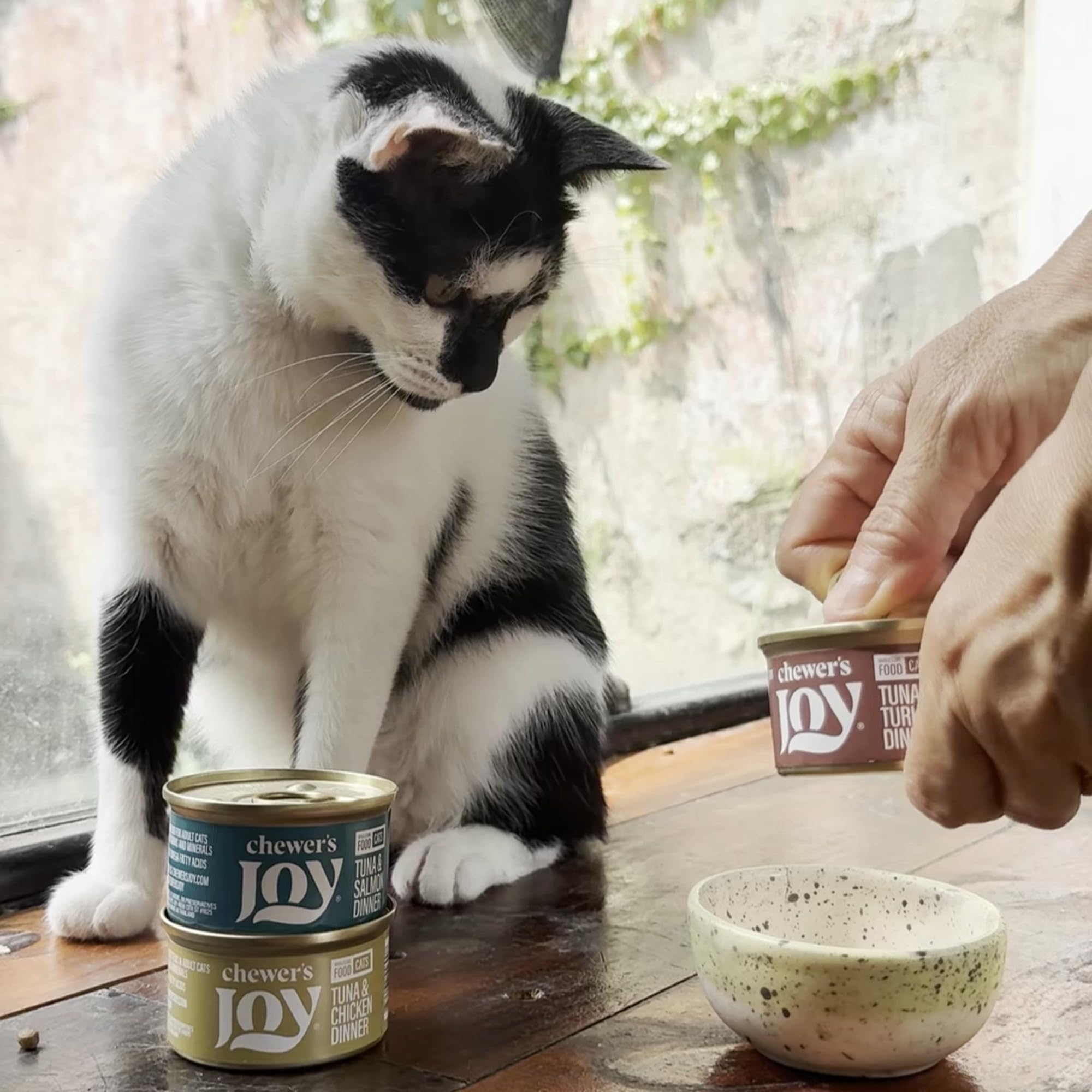 Chewer's Joy proteína alta para gatos, apoyo posible para energía diaria.