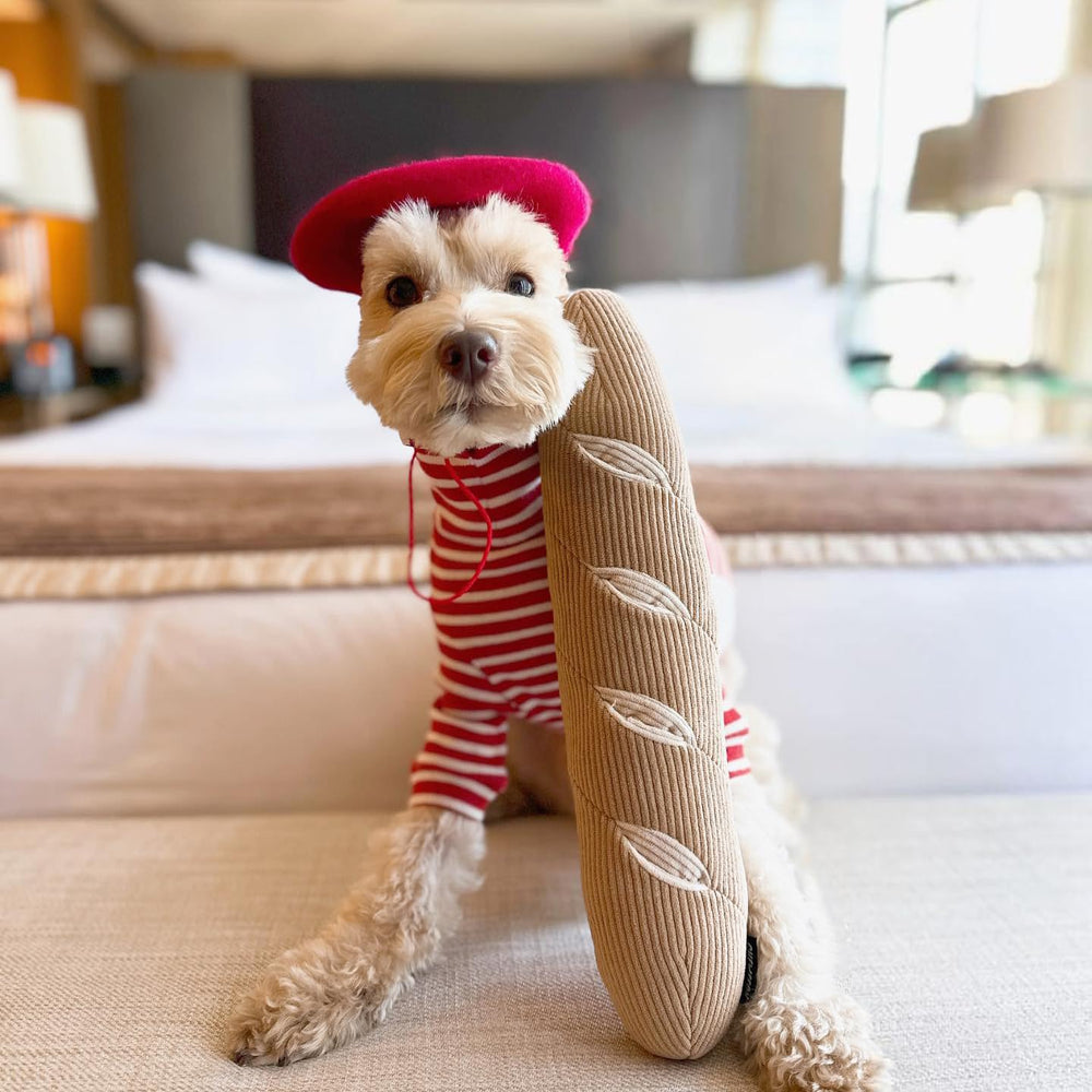 CHEWFFON peluche premium para juego prolongado en perros.