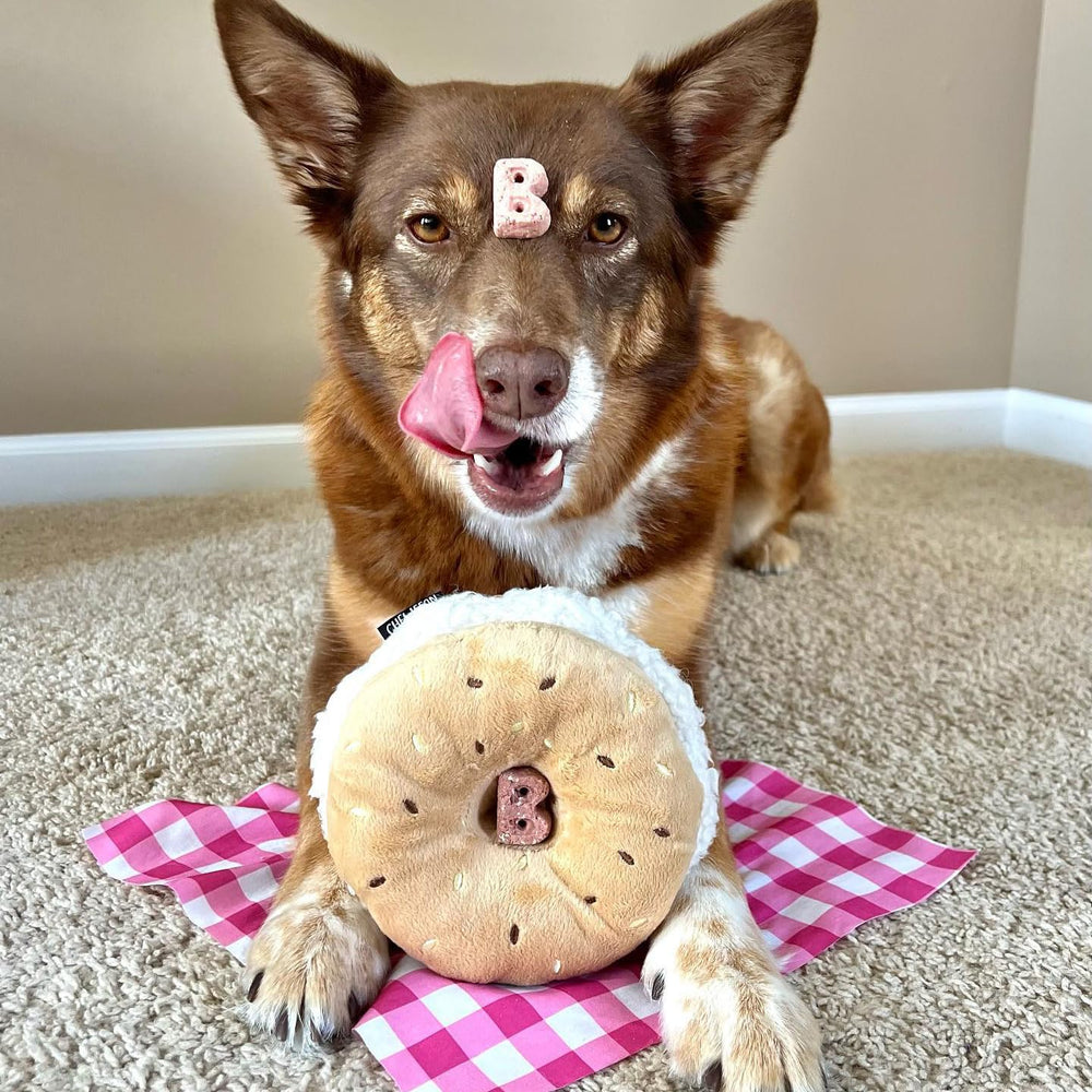 CHEWFFON, tamaño compacto para perros pequeños y medianos.