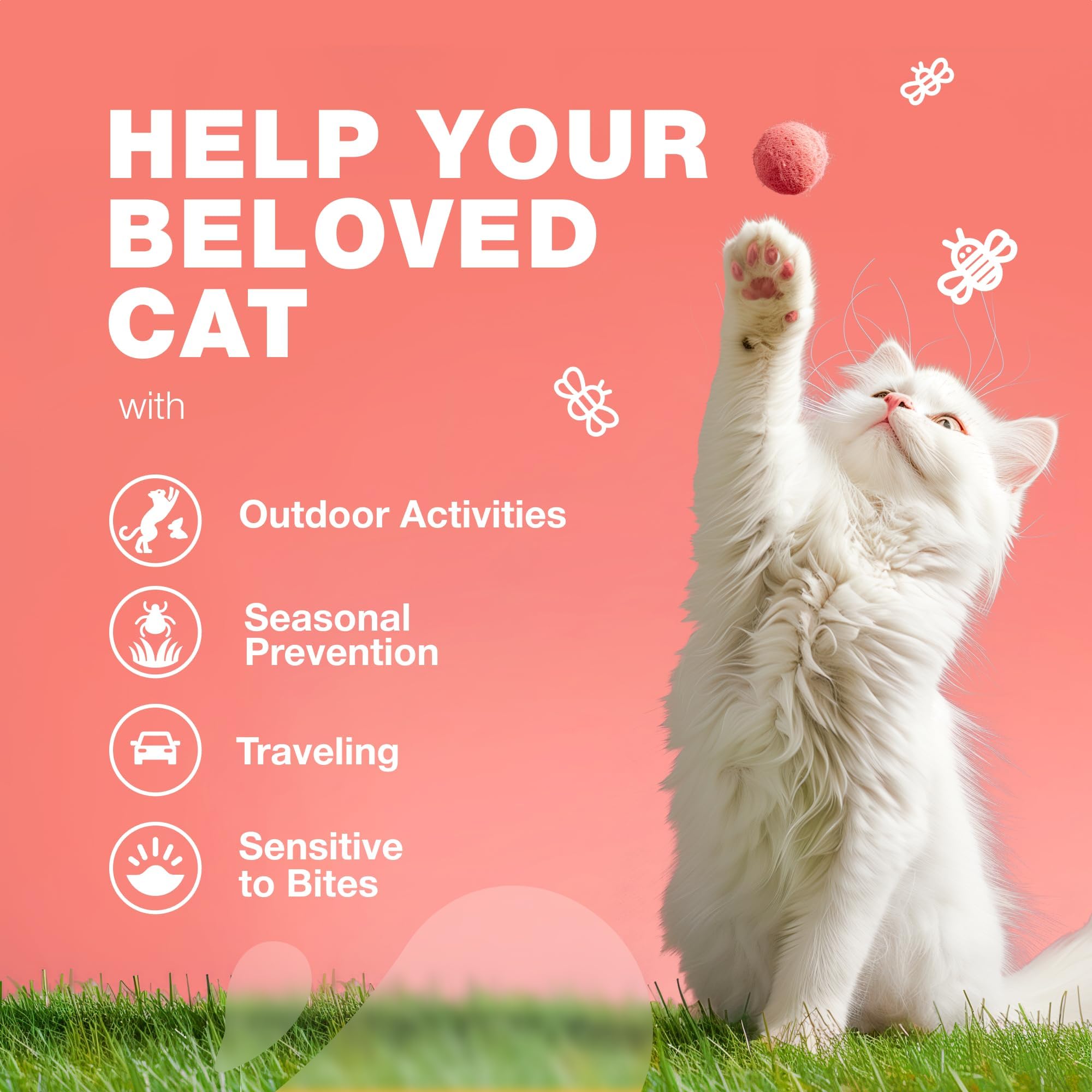 Dosis diaria de masticables CHEWIA para gatos, práctica y sencilla.