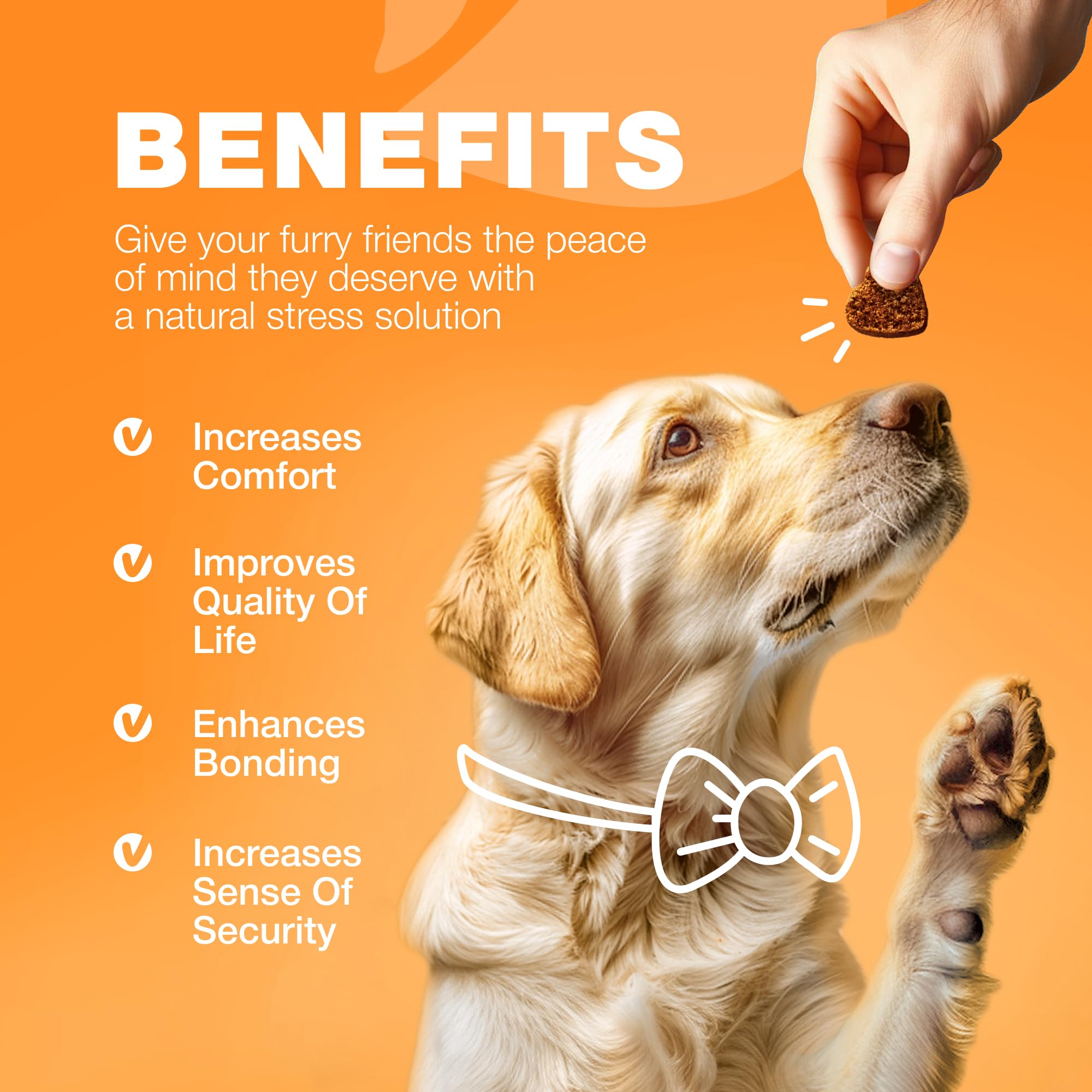 CHEWIA formulado-eeuu-perro: fórmula innovadora para el cuidado canino.