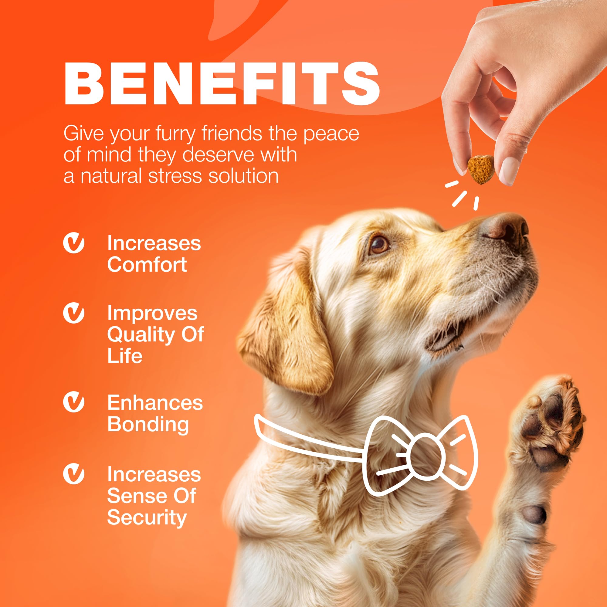 CHEWIA Glucosamina para perros, envase práctico, ideal para guardar en casa.