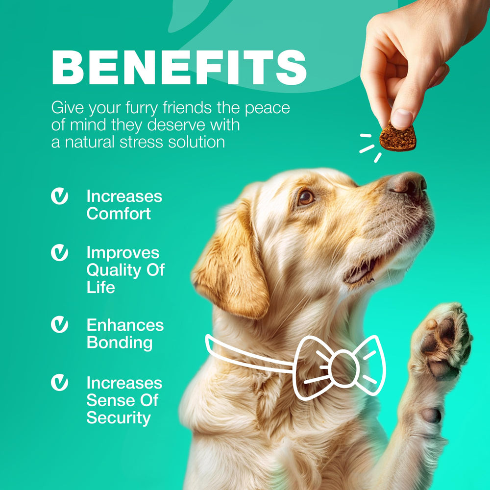 CHEWIA Probióticos, fórmula rica que apoya la inmunidad natural y la nutrición.