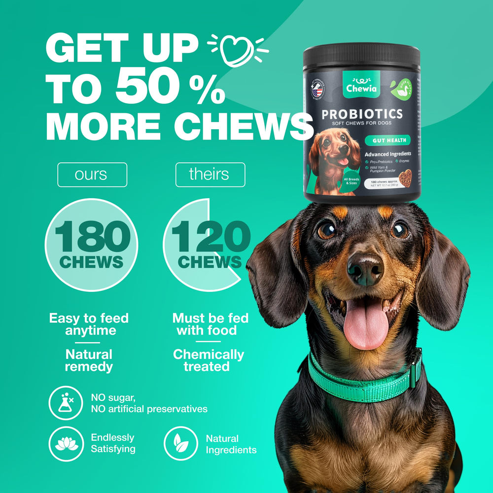 CHEWIA Probióticos, enzimas digestivas incluidas, favorecen una digestión equilibrada.