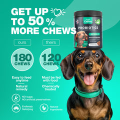 CHEWIA Probióticos, enzimas digestivas incluidas, favorecen una digestión equilibrada.