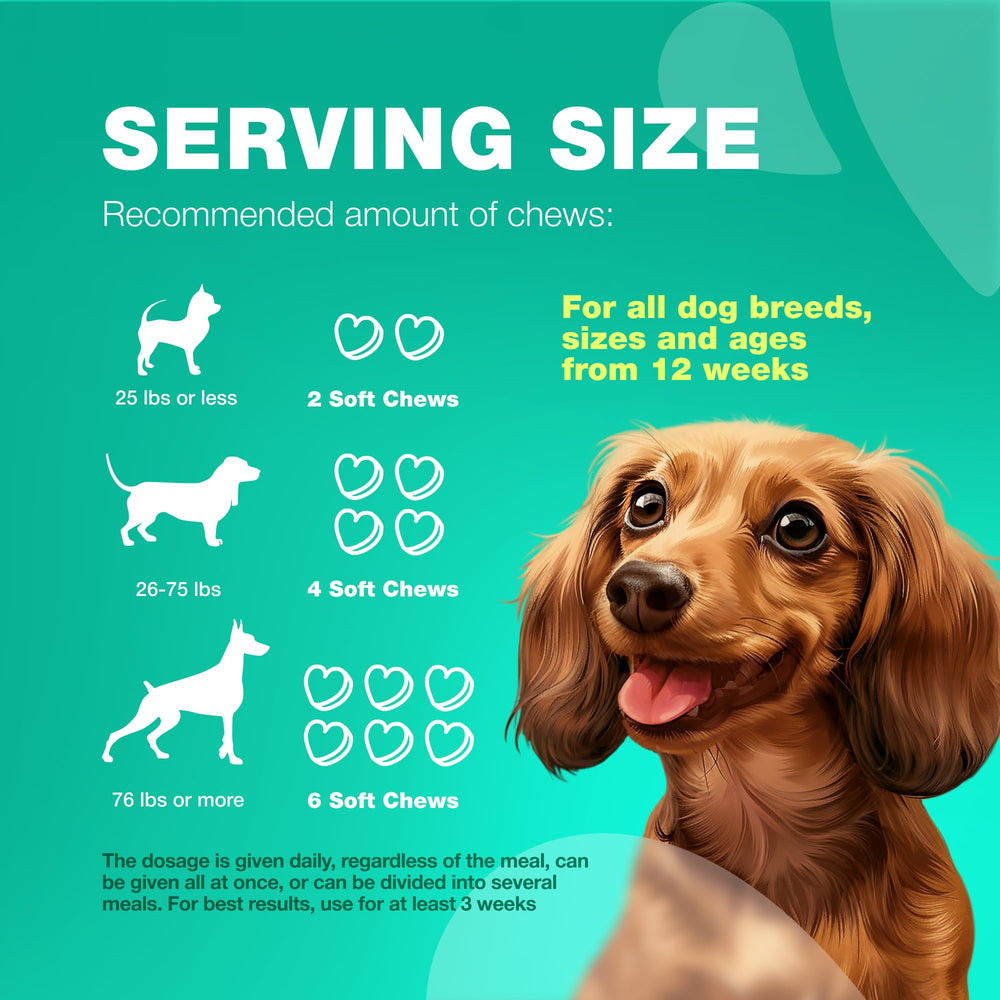 CHEWIA Probióticos, apoyo para piel sana y pelaje brillante.