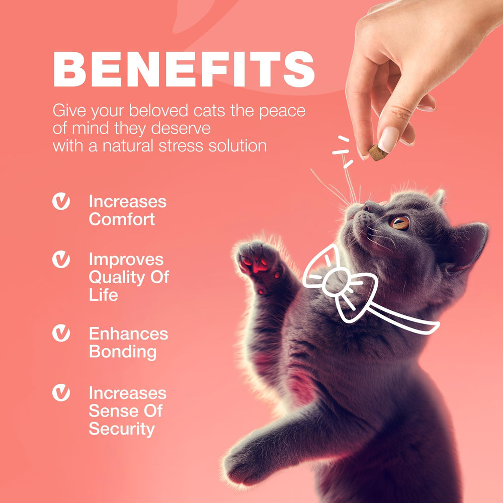 Masticable sabor salmón de CHEWIA para gatos, sabor agradable.