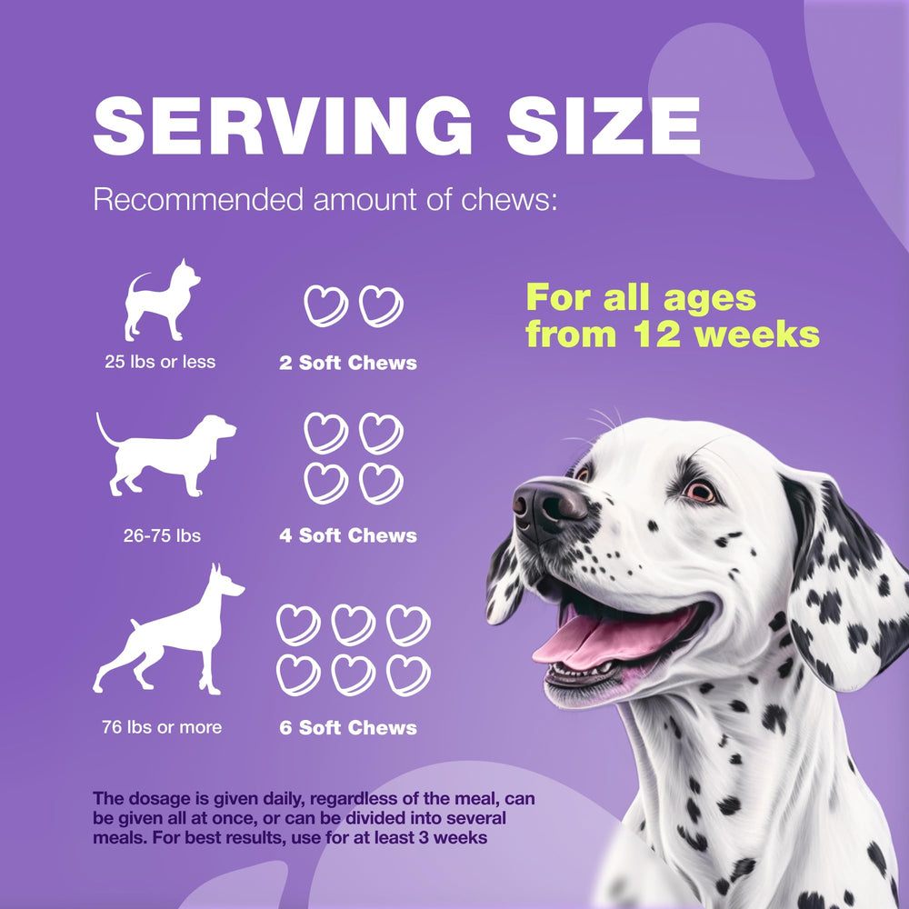 CHEWIA uso diario: dosis recomendada para el cuidado continuo de perros