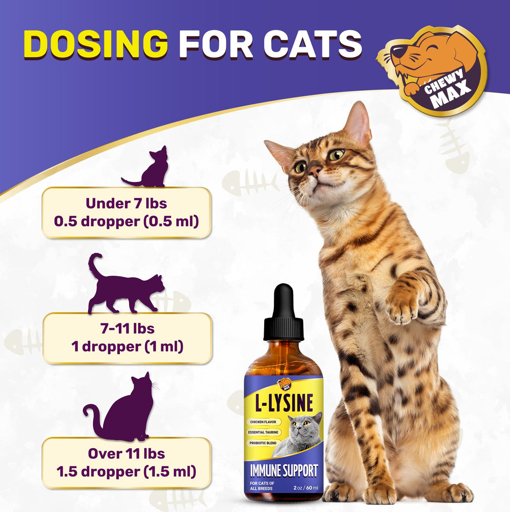 Sabor a pollo de L-Lisina para gatos, agradable al consumo.
