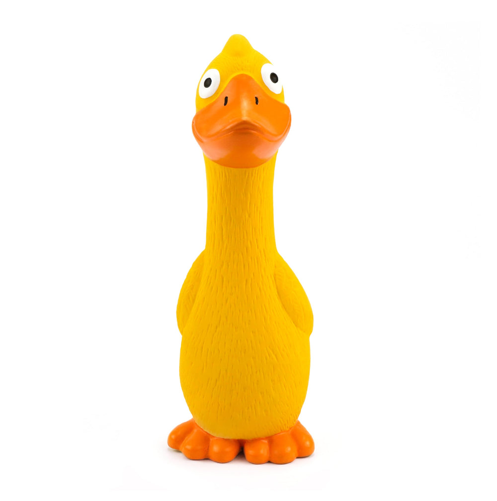 CHIWAVA Pato para entrenamiento y lanzamiento en casa.