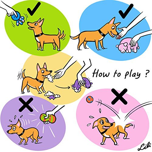 CHIWAVA Pato para perros pequeños y medianos con peso 4–30 kg.