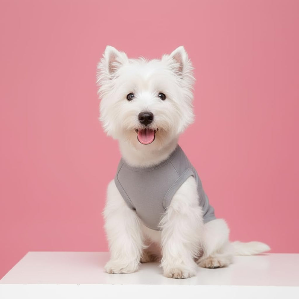 Chol&Vivi camiseta de algodón para perro en blanco, opción ligera.