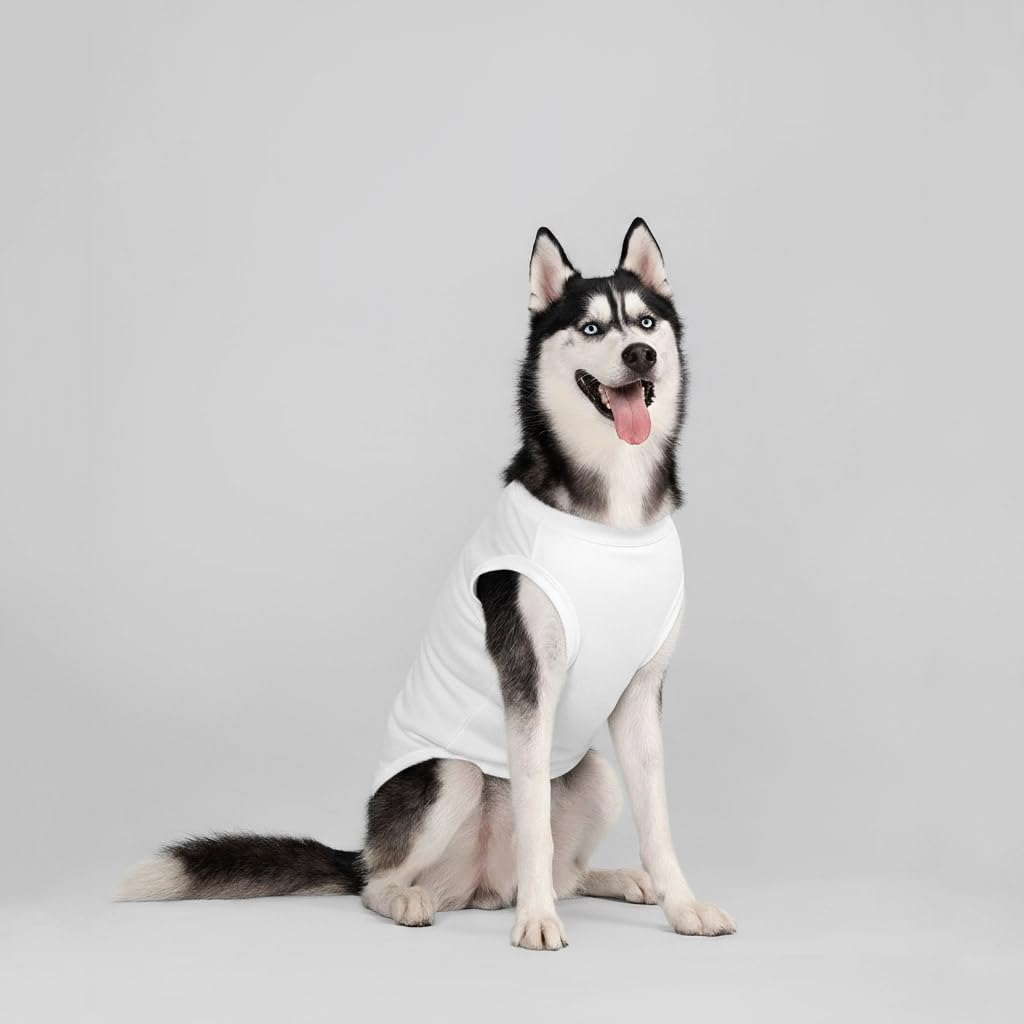 Chol&Vivi camiseta de algodón para perro en gris, diseño cómodo.