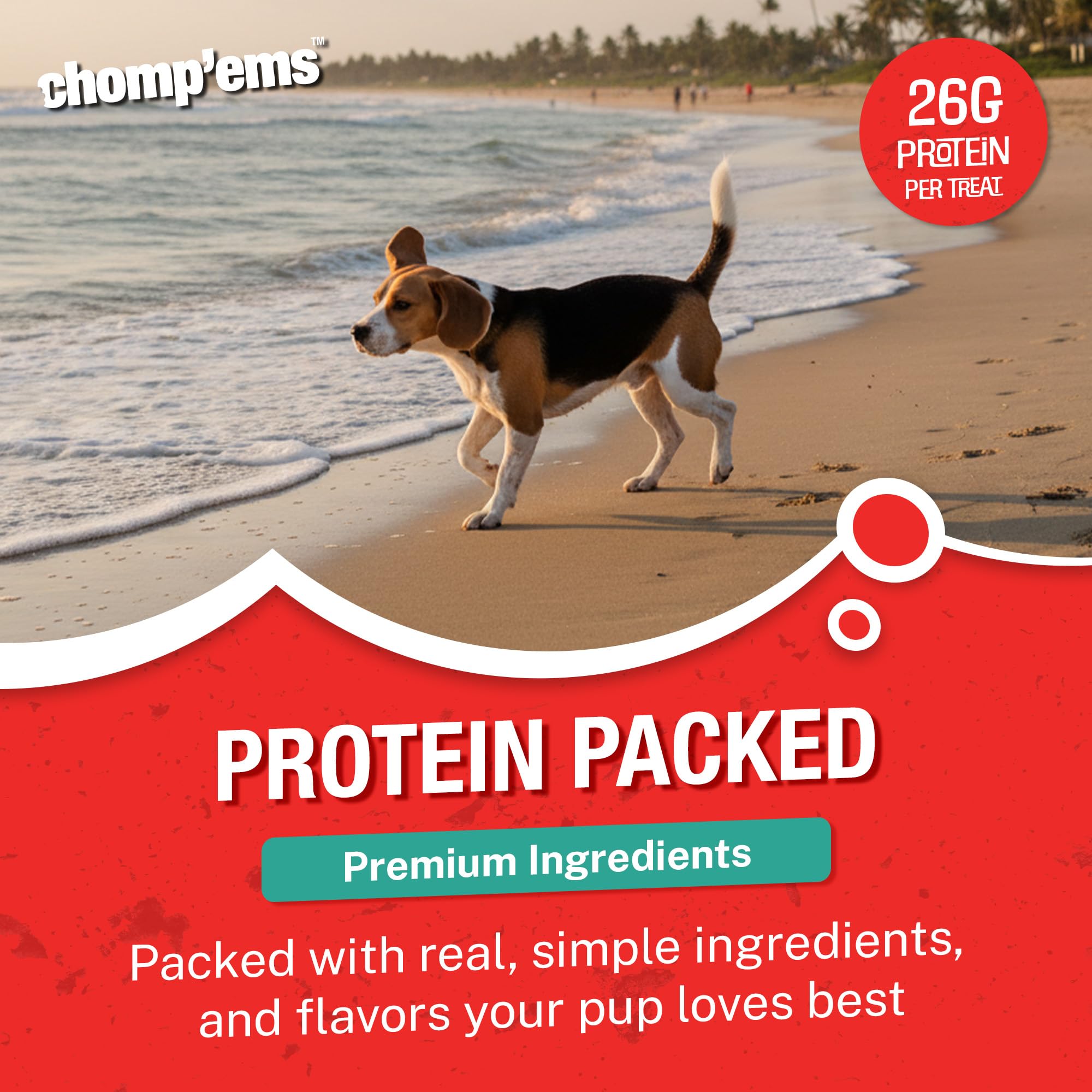CHOMP 'EMS masticable para perros que disfrutan masticar con seguridad.