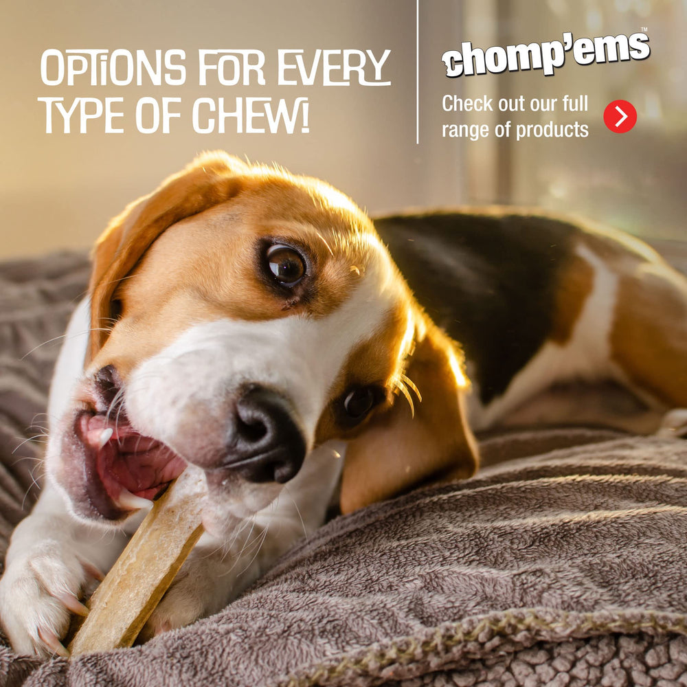 CHOMP'EMS brochetas-pato para perros, regalo sabroso en la rutina diaria.