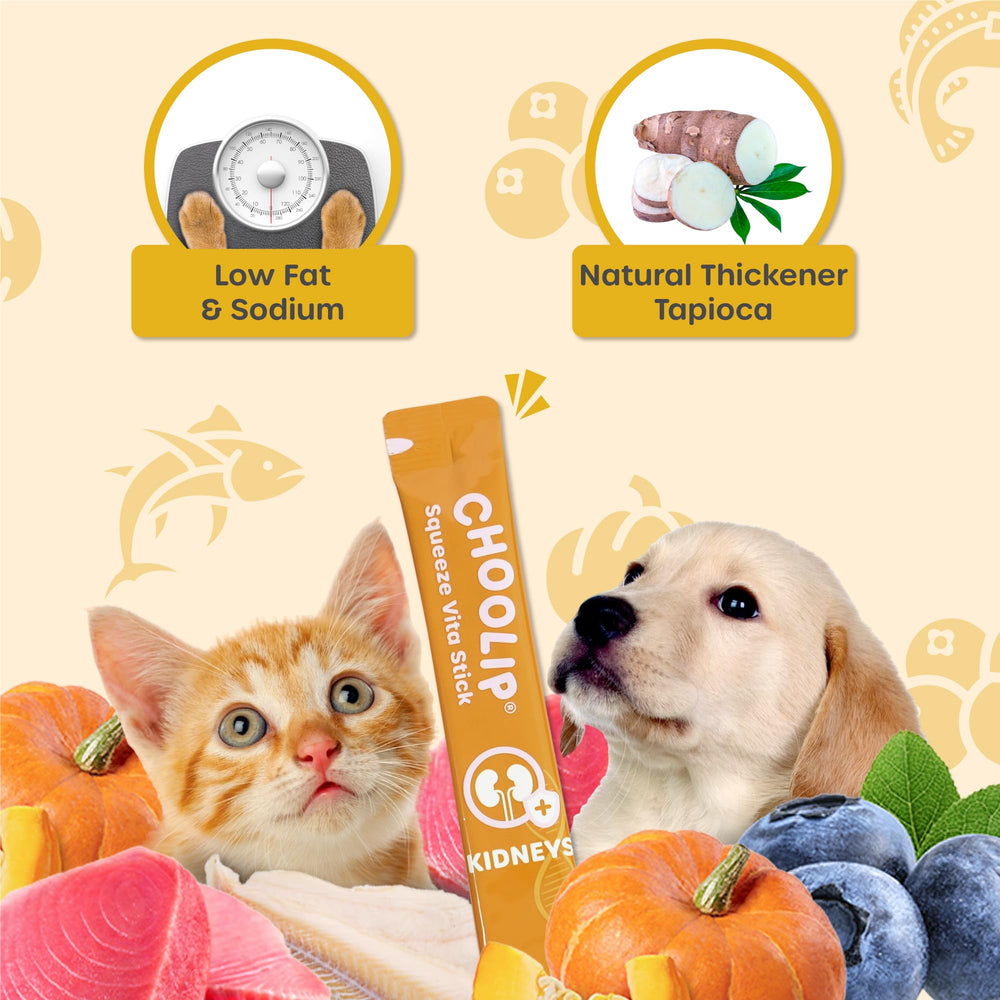 Choolip Vita Stick sin granos ni carragenina, pensado para digestión sensible.