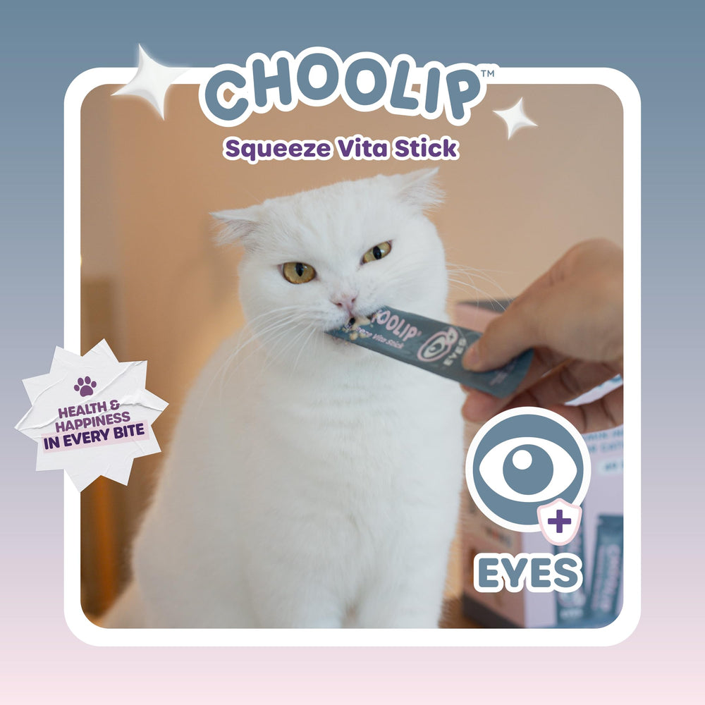 Choolip Squeeze Vita Stick, sin granos ni conservantes