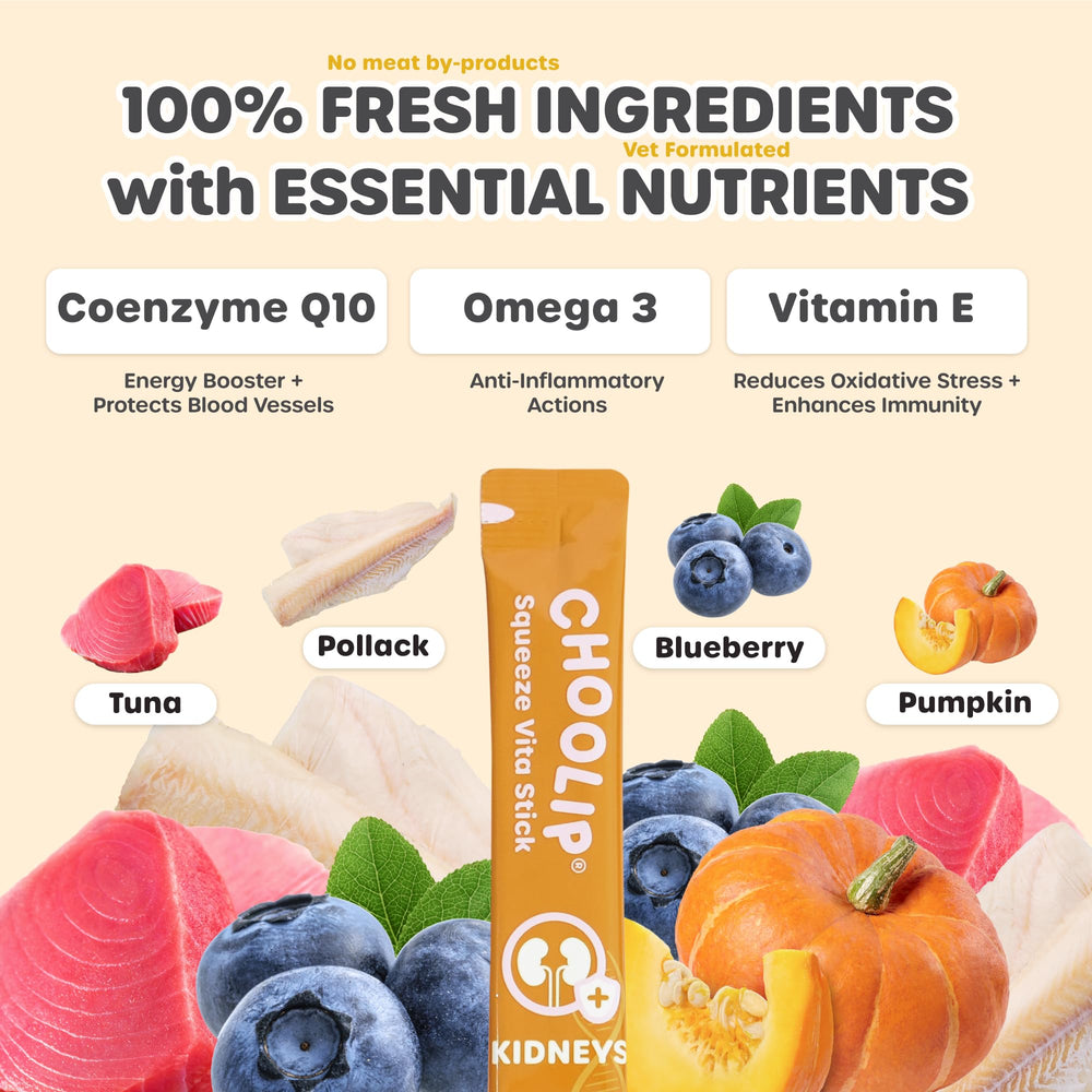 Choolip Vita Stick con CoQ10 y cranberry para apoyo potencial de energía diaria.