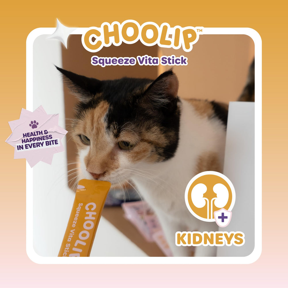 Choolip Squeeze Vita Stick uso diario, fácil de incorporar