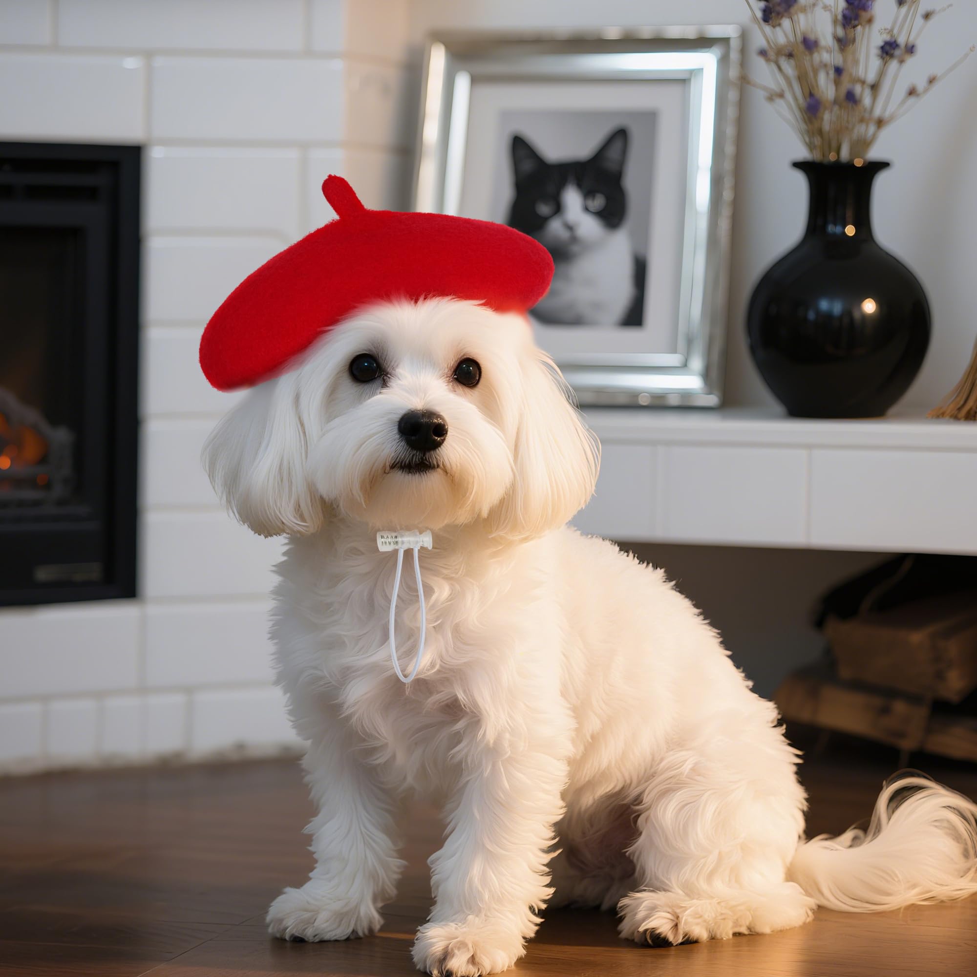 Boina de disfraz para perro de Choyaxo, perfecta para fiestas.