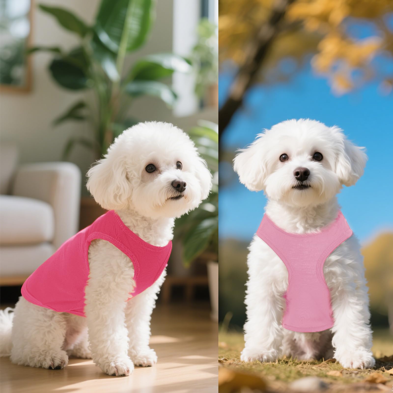 Camisetas para mascotas XS de Choyaxo, ajuste cómodo para perros y gatos.