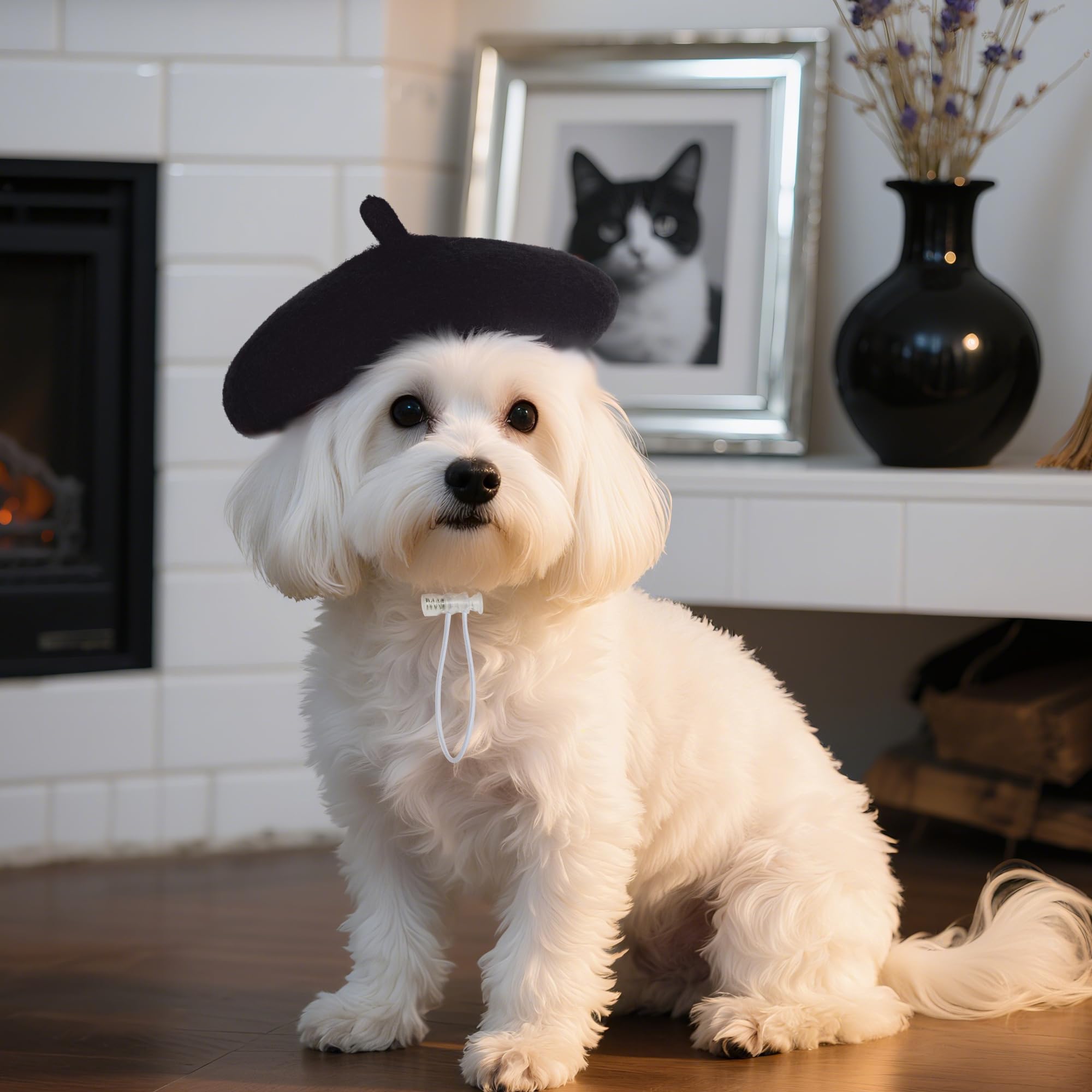Diseño elegante de boina choyaxo para paseos y eventos de mascotas.
