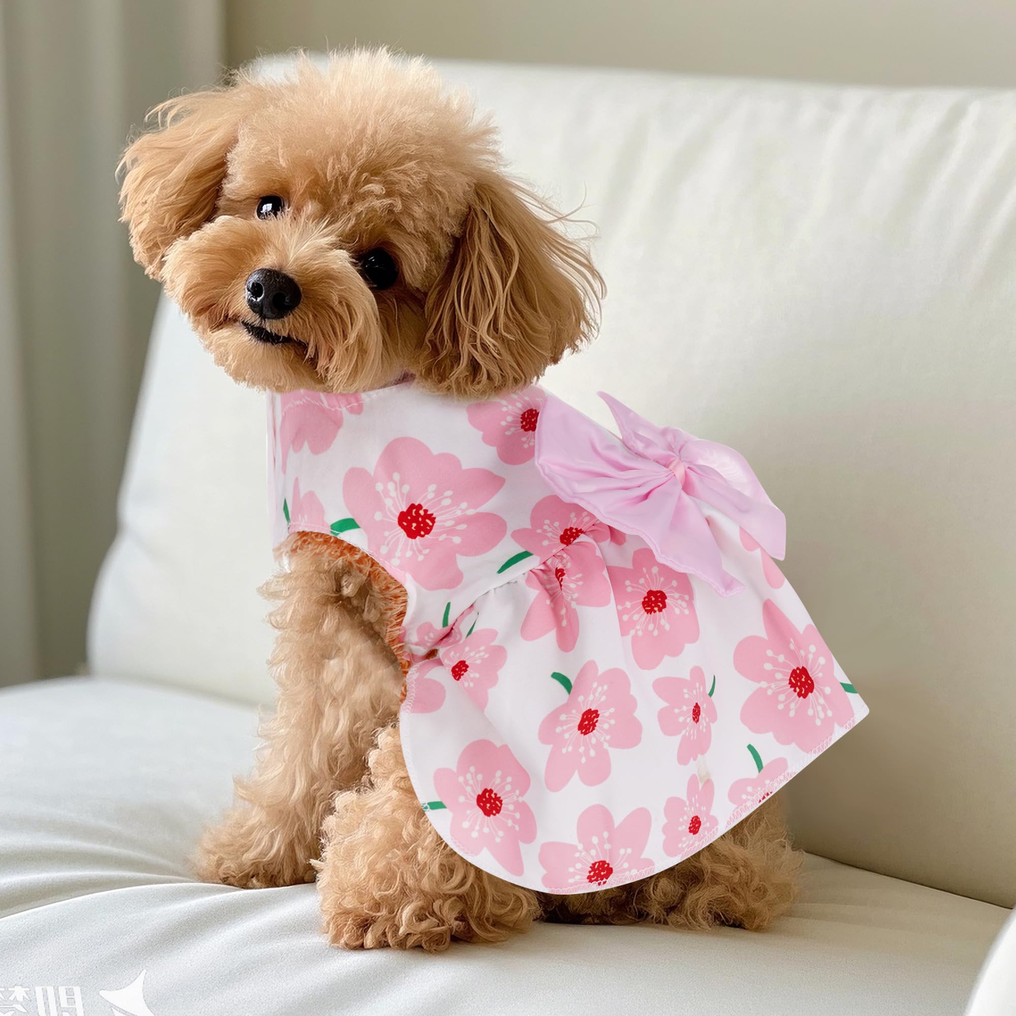 Choyaxo modelo canino con vestido, estilo cómodo para casa y salidas