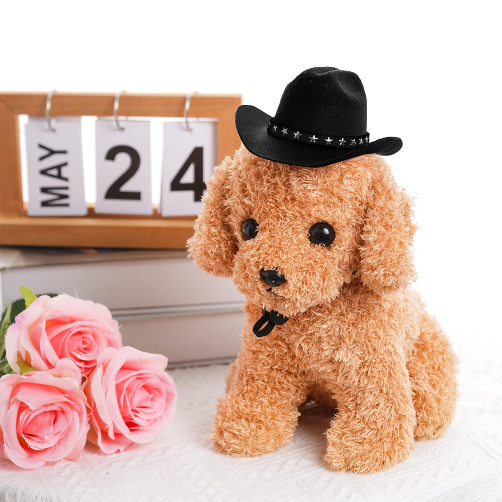 Paquete incluye sombrero vaquero para mascotas, listo para celebrar