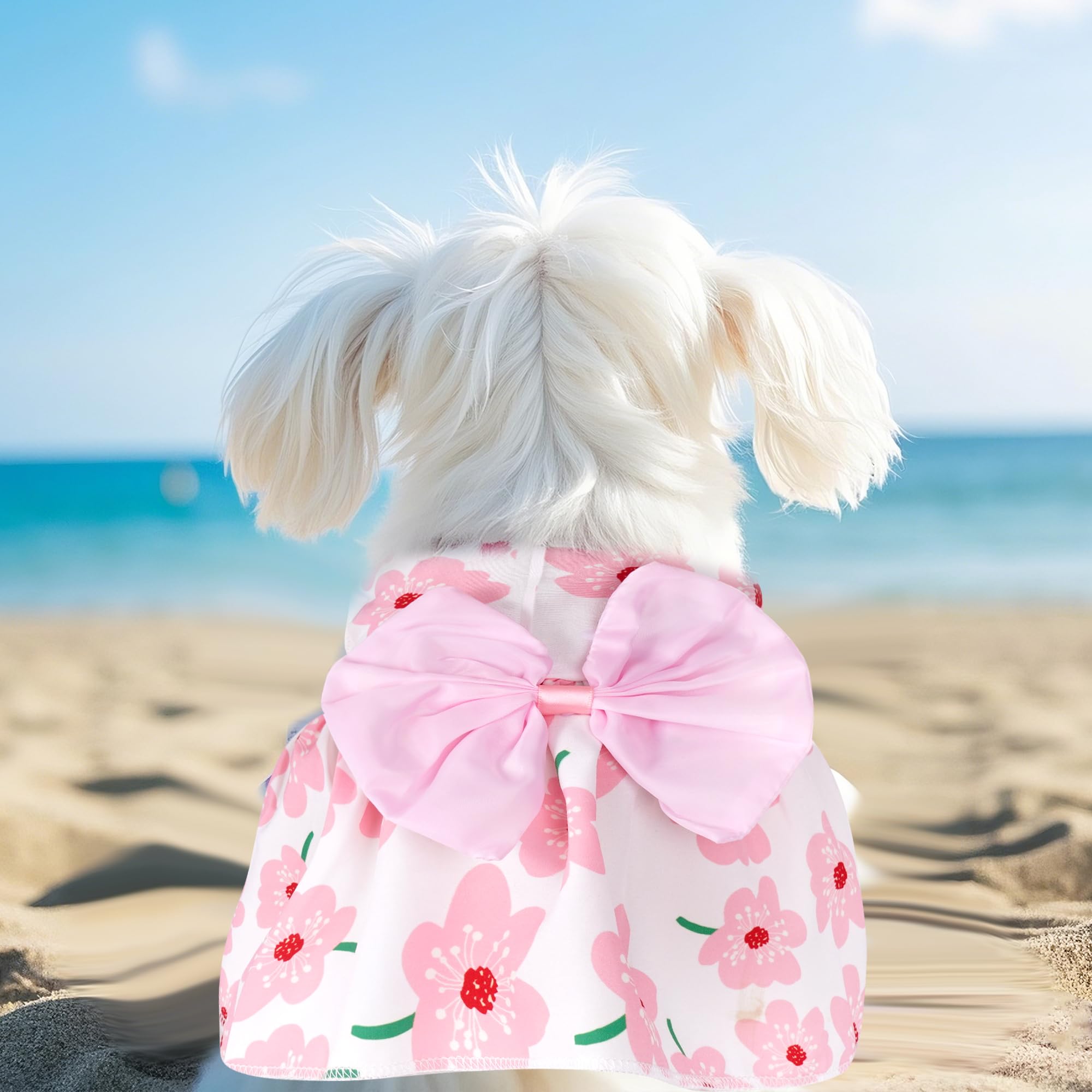 Choyaxo perro con vestido rosa, ideal para paseos en el parque y fotos