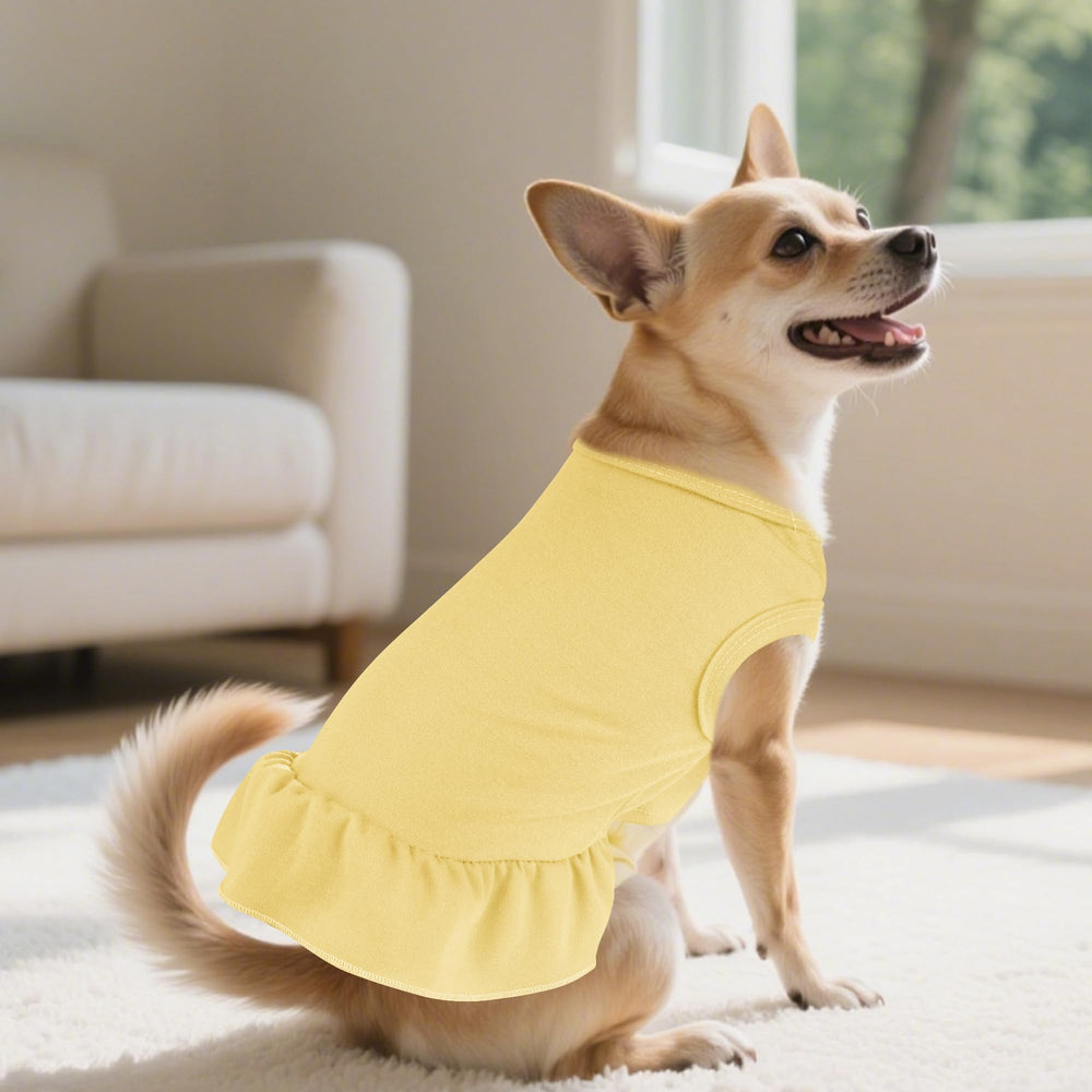 Ropa ligera de verano de choyaxo para actividades al aire libre con tu mascota.