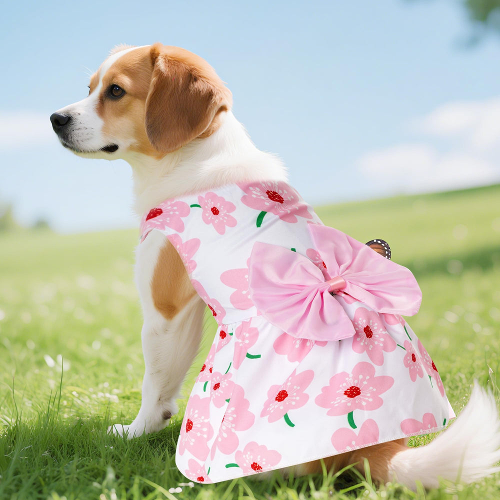 Choyaxo vestido rosa, estilo sencillo y encantador.