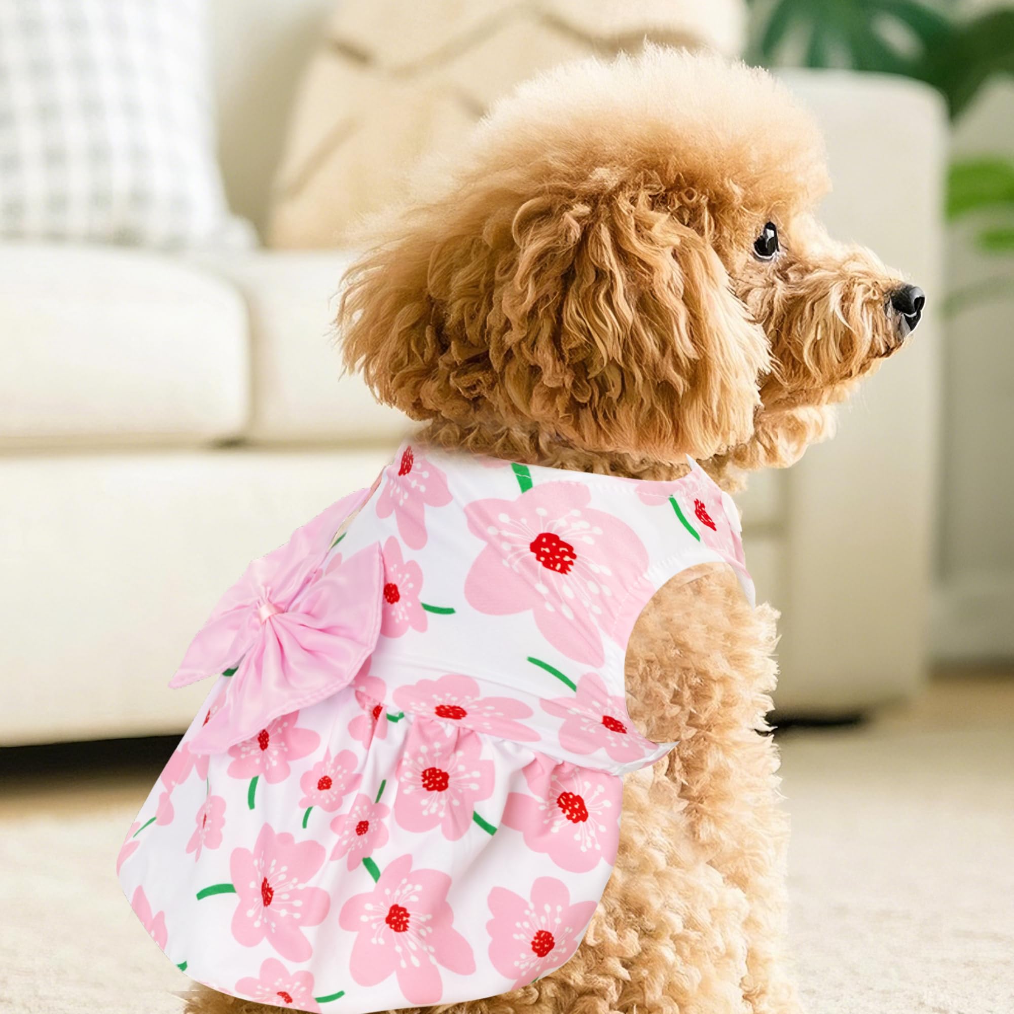 Color rosa fresco y flores de Choyaxo, realza la dulzura de tu mascota.