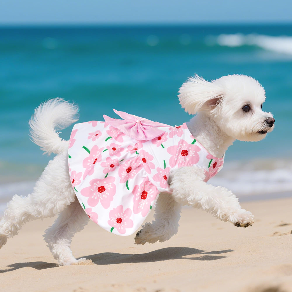 Choyaxo vestido floral para perro, ideal para perros corriendo con libertad.