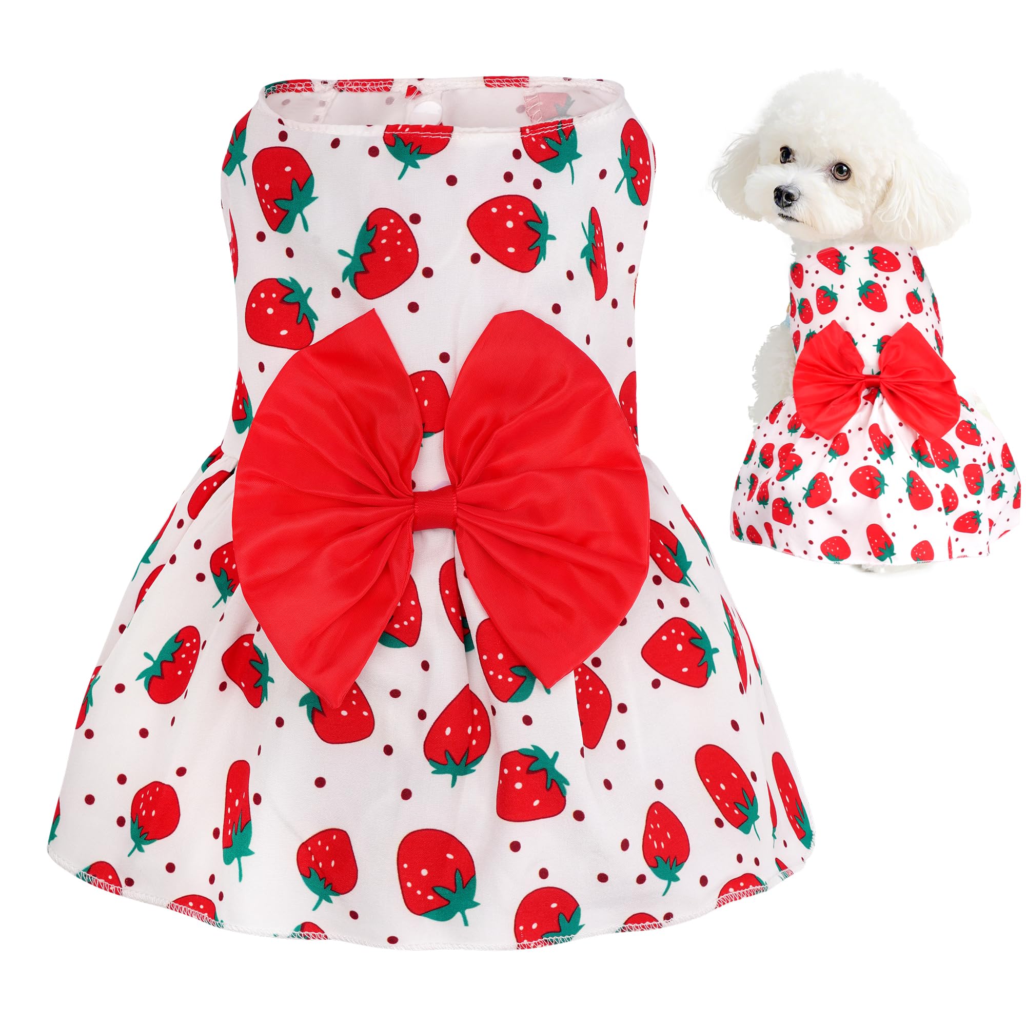 Vestido floral de choyaxo para perro, vista frontal, ideal para paseos