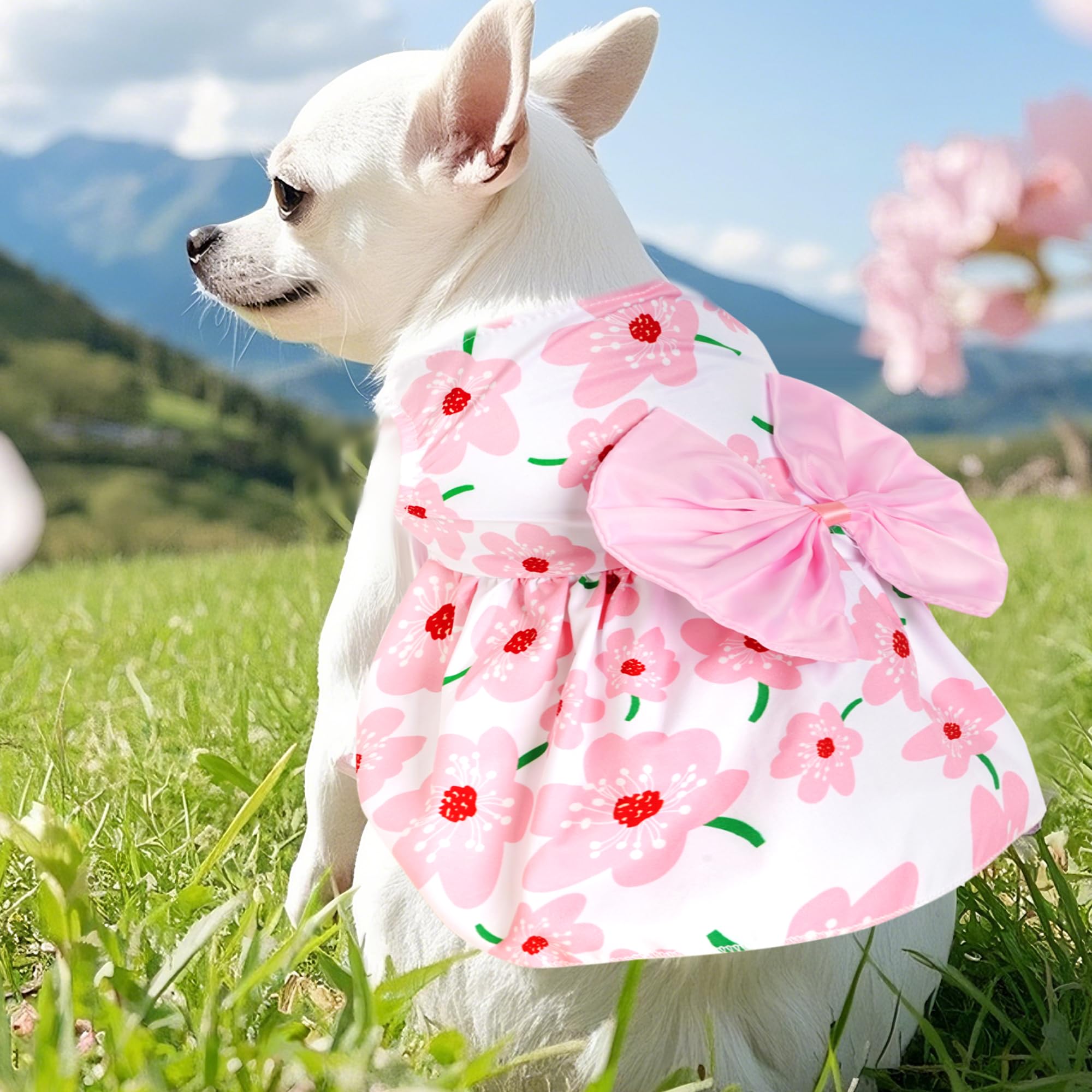 Vestido floral de Choyaxo en rosa, ideal para paseos veraniegos.