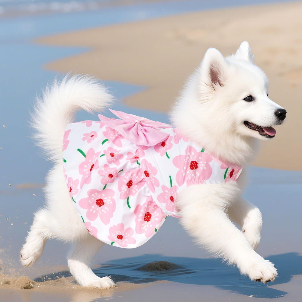 Choyaxo vestido para paseo en parque, cómodo y favorecedor.
