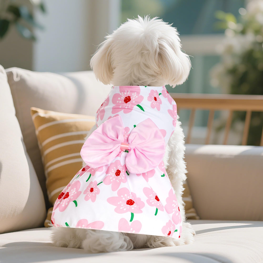 Choyaxo vestido perro floral, estilo fresco; ideal para socializar al aire libre.