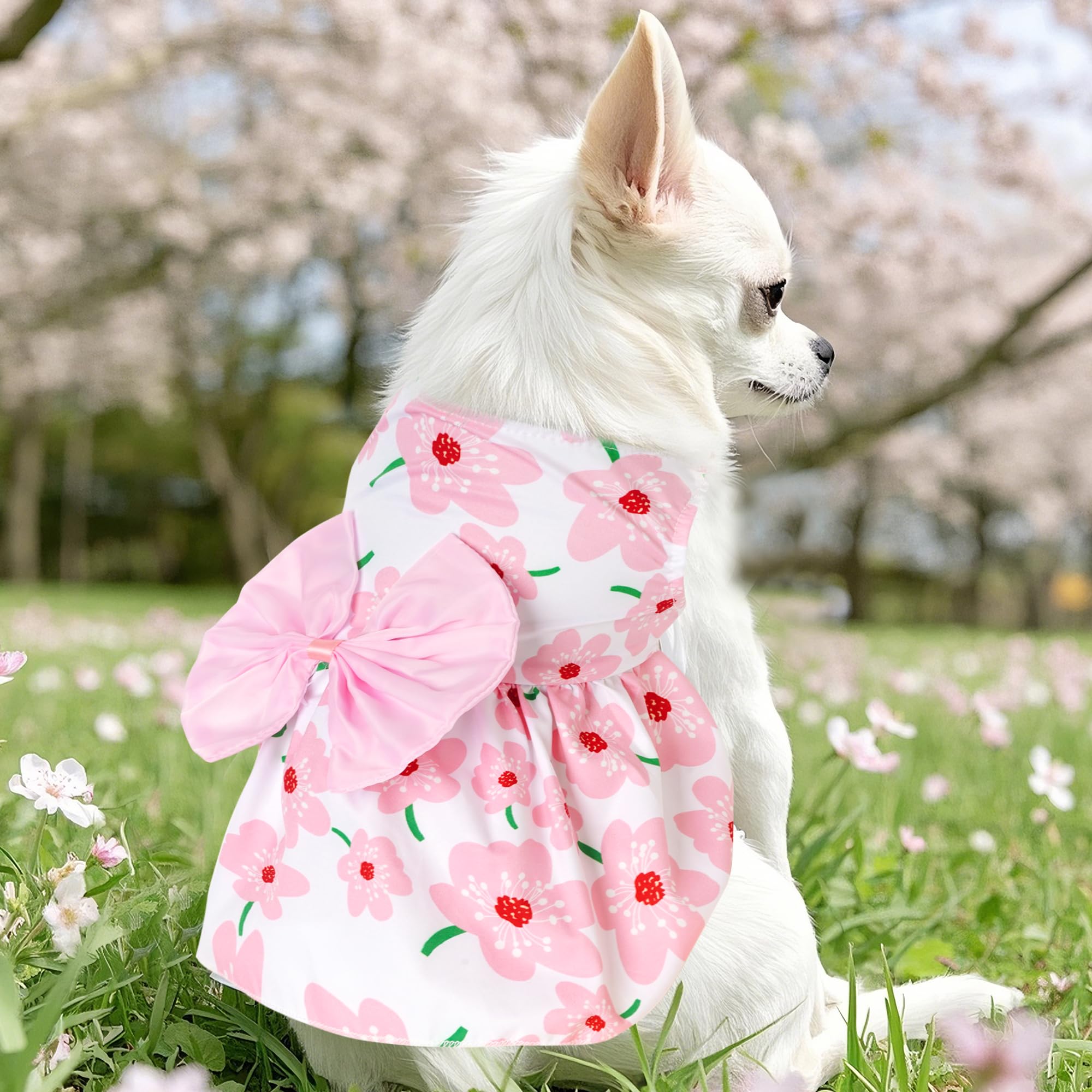 Vestido veraniego rosa de choyaxo para mascotas, cómodo y fresco.