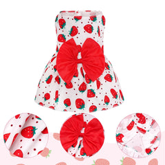 Vestido choyaxo rosa con encaje, ideal para celebraciones con mascotas.