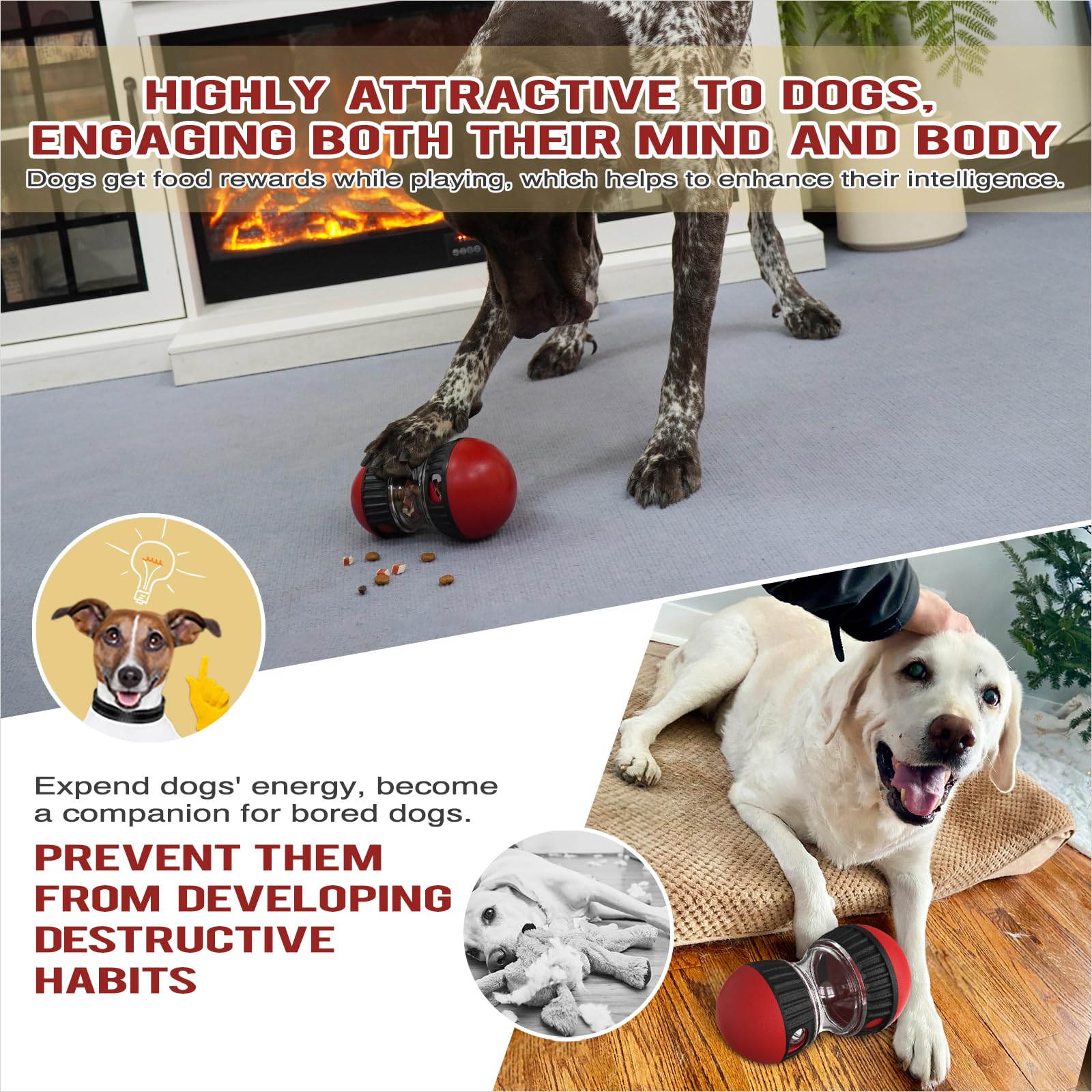 Chronanagese Diseño resistente para mascotas activas.