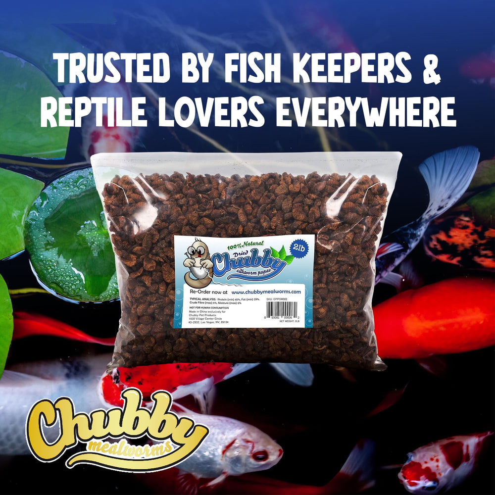 Chubby Mealworms pupas seda seca para tortugas y reptiles acuáticos