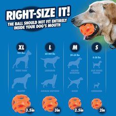 Juguete de entrenamiento Chuckit! Air Fetch Ball con aberturas para premios