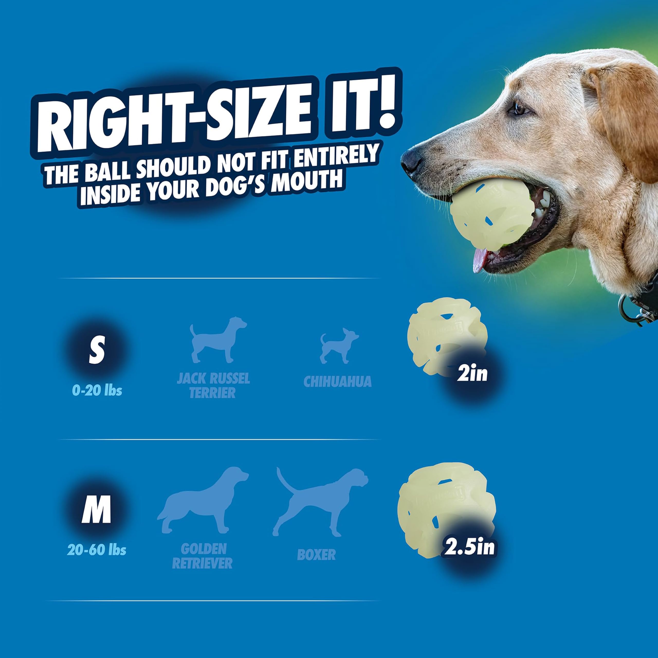 Pelota Air Glow de tamaño mediano para perros de 9 a 27 kg.