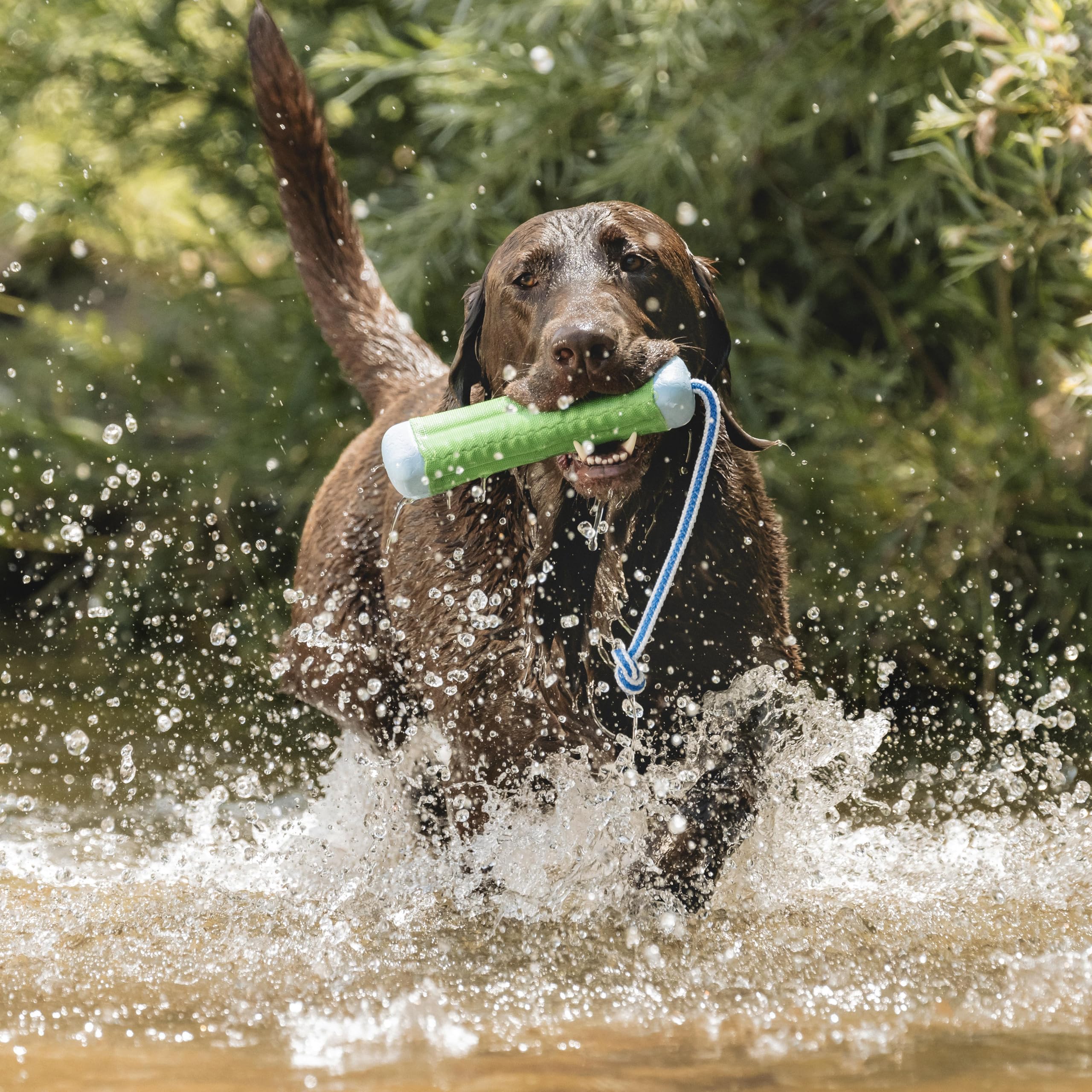 Chuckit! Amphibious Bumper materiales espuma y goma para juego duradero